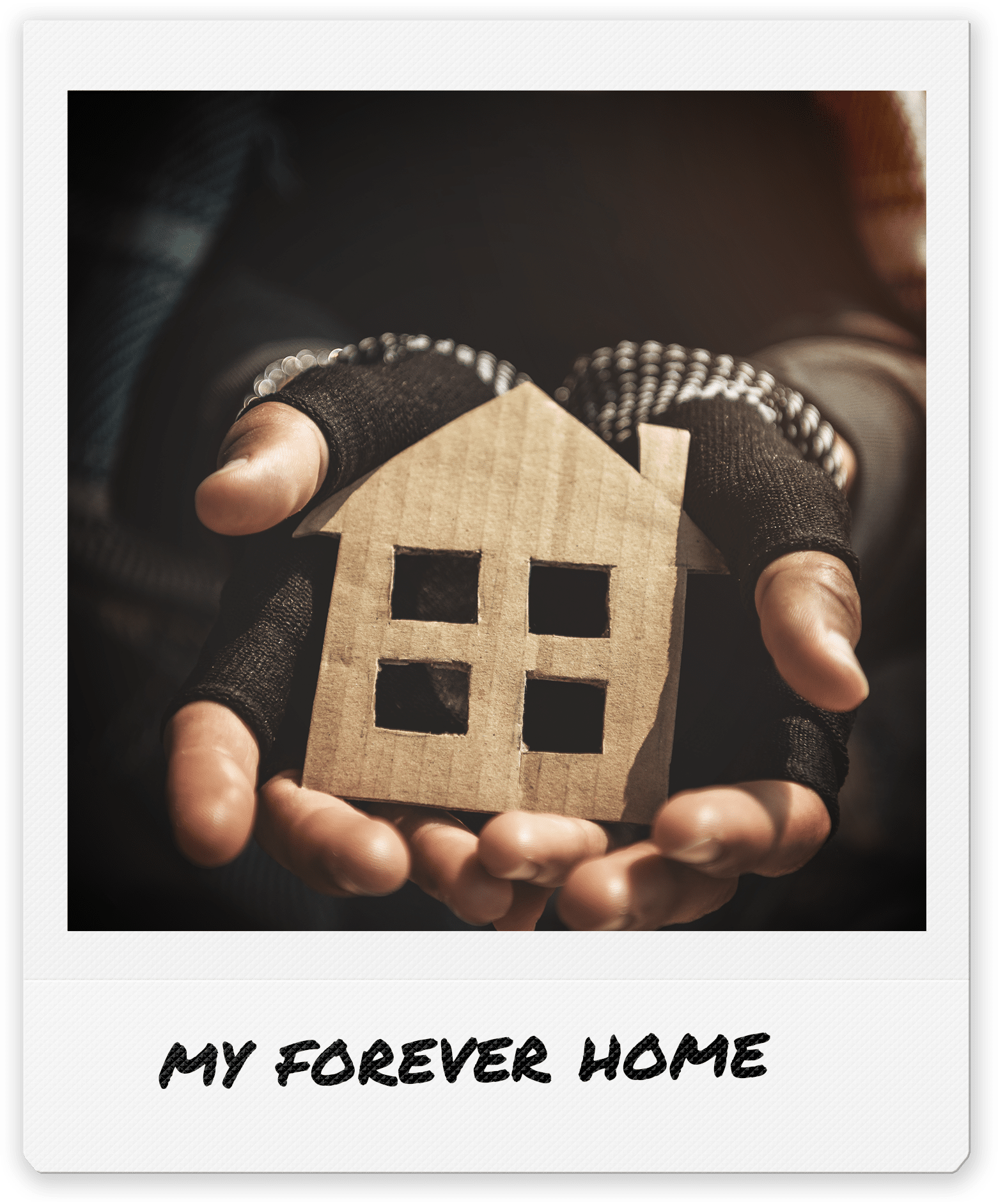 Home - Community Forever Village
